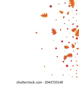 Orange Acorn Background White Vector. Leaves Realistic Texture. Golden Plant. Fly Frame. Green Oak Natural.