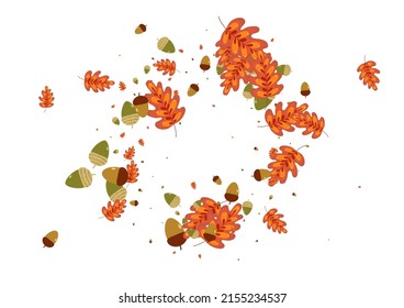 Orange Acorn Background White Vector. Leaves Object Set. Yellow Leaf. Autumn Design. Red Herb Banner.