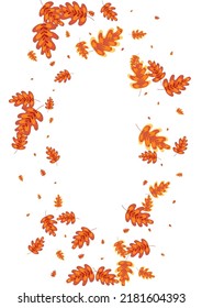 Orange Acorn Background White Vector. Plant Decorative Design. Yellow Leaf. Wallpaper Frame. Gold Leaves Dead.
