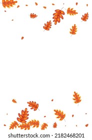 Orange Acorn Background White Vector. Oak Organic Frame. Brown Leaves. Silhouette Set. Yellow Plant Floral.