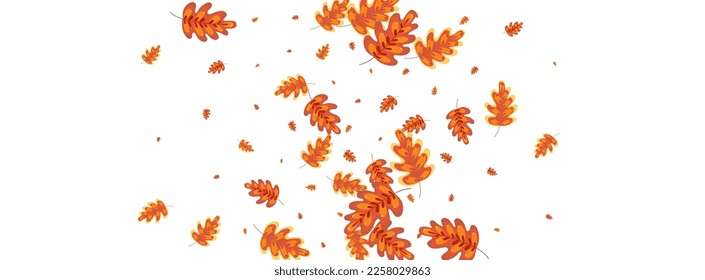 orangefarbener Kornhintergrund, weißer Vektorgrafik. Pflanzen Blumentextur. Brauner Eiche. Cartoon Set. Golden Leaves Fly.