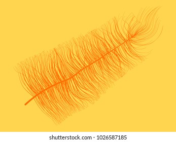 Orange Angelic Fluff. Beautiful Hand Drawn Feathers Isolated. Fluff for Wallpaper, Illustration, Carnival, Masquerade, Invitation, Paper, Textile. Decoration Element for Your Design.