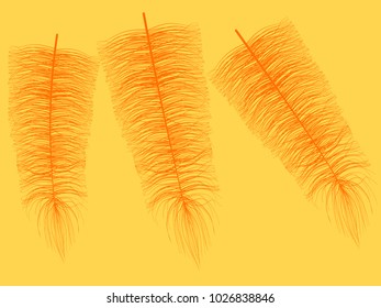 Orange Angelic Fluff. Beautiful Hand Drawn Feathers Isolated. Fluff for Wallpaper, Illustration, Carnival, Masquerade, Invitation, Paper, Textile. Decoration Element for Your Design.