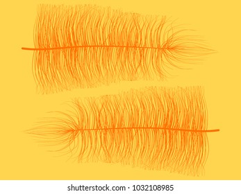 Orange Angelic Fluff. Beautiful Hand Drawn Feathers Isolated. Fluff for Wallpaper, Illustration, Carnival, Masquerade, Invitation, Paper, Textile. Decoration Element for Your Design.