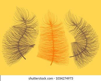 Orange Angelic Fluff. Beautiful Hand Drawn Feathers Isolated. Fluff for Wallpaper, Illustration, Carnival, Masquerade, Invitation, Paper, Textile. Decoration Element for Your Design.