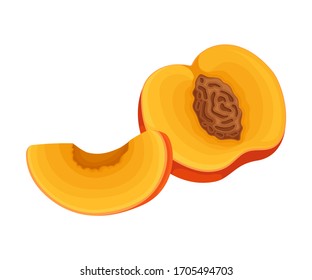 Orange Apricot Isolated on White Background Vector Illustration