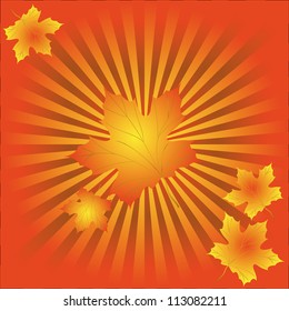 Orange autumn background with leaves of maple