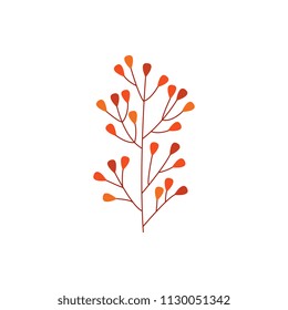 Orange autumn branch of leaves isolated on white background - seasonal natural element for floral design in flat style. Decorative object of fall plant part in vector illustration.