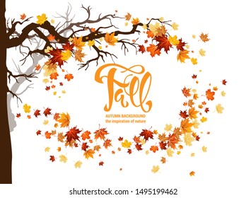 Orange autumn leaves and branches frame. Nature design background. Fall maple leaves illustration with place for text.