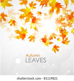 Orange autumn leaves. Vector abstract background