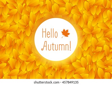 Orange autumn leaves and white circle background. Bright autumn fall season vector design