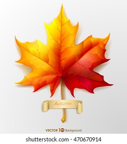 Orange autumn maple leaf. Vector eps 10.