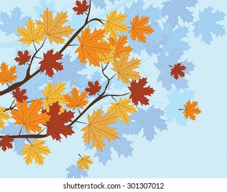 Orange Autumn Maple Leaves on tree. Vector