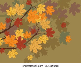 Orange Autumn Maple Leaves on tree. Vector