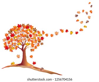 Orange Autumn Maple Tree With Falling Leaves isolated on White Background.  Editable elegant Design with text space. Vector and raster format available.