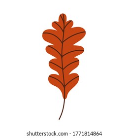 
Orange autumn oak leaf isolated on a white background. Fallen oak leaf. Flat vector illustration 