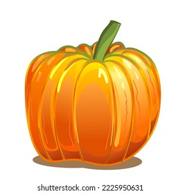 Orange autumn pumpkin, a traditional symbol of Thanksgiving and Halloween night, as well as a tasty and healthy vegetable