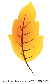 orange autumn season leave nature icon