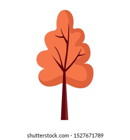 orange Autumn tree icon over white background, colorful design, vector illustration