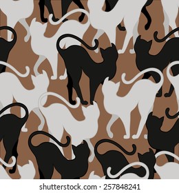 orange background with black and white cats