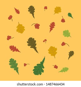 Orange background. Illustration vector hand drawn. Autumn leaves set with oak. Berries of Rowan. Fall leaf design. Foliage forest. Red, Green, brown and yellow falling leaves