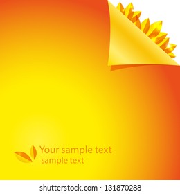 orange background with petals