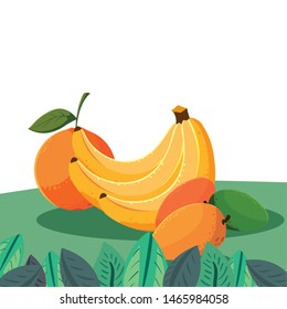 orange banana mango fresh fruits in the field