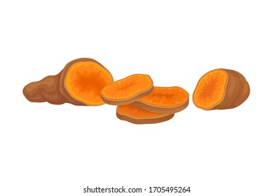Orange Batata Vegetable Isolated on White Background Vector Illustration