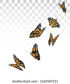 Orange beautiful flying butterflies isolated on transparent background. Butterflies in Motion. Vector illustration.