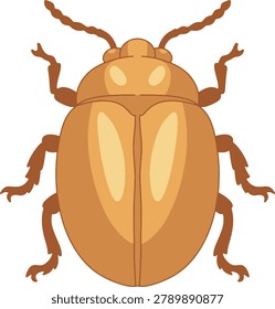 Orange Beetle Simple Vector Illustration