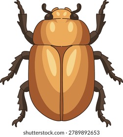 Orange Beetle Simple Vector Illustration