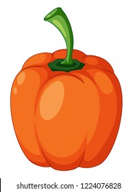 Un pimiento naranja en una ilustración de fondo blanco