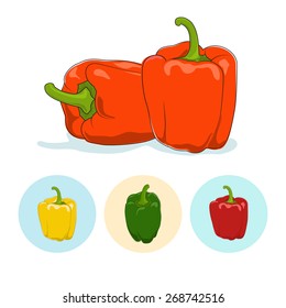 Orange bell pepper  on white background,set of three round colorful icons, yellow,red and green sweet pepper,capsicums ,vector illustration