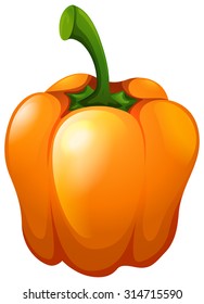 Orange bell pepper with stem illustration