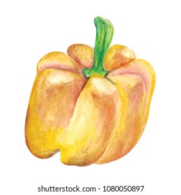 Orange Bell pepper Watercolor hand drawn illustration isolated on white background