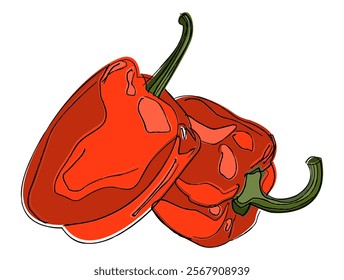 An orange bell peppers isolated on white background. Single tasty bell peppers in Hand Drawn Cartoon style. Vector illustration.