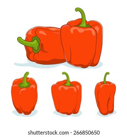 Orange bell pepper,three kinds of sweet pepper, capsicum on a white background,  vector illustration