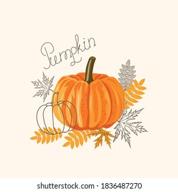 Orange big pumpkin with autumn leaves for use in your design