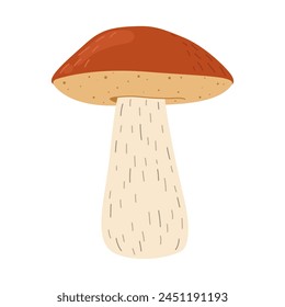 Orange birch bolete mushroom. Leccinum fungi. Edible forest mushrooms. Vegetarian fungi brown cap boletus. Botanical flat vector illustration isolated on white background. 