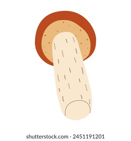 Orange birch bolete mushroom. Leccinum fungi. Edible forest mushrooms. Vegetarian fungi brown cap boletus. Botanical flat vector illustration isolated on white background. 