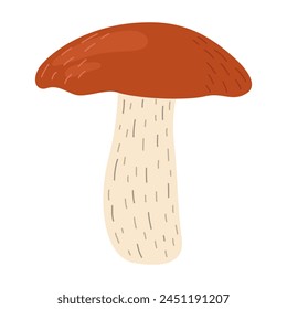 Orange birch bolete mushroom. Leccinum fungi. Edible forest mushrooms. Vegetarian fungi brown cap boletus. Botanical flat vector illustration isolated on white background. 