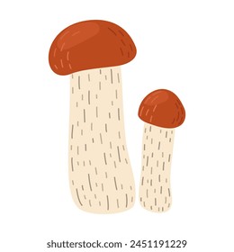 Orange birch bolete mushroom. Leccinum fungi. Edible forest mushrooms. Vegetarian fungi brown cap boletus. Botanical flat vector illustration isolated on white background. 