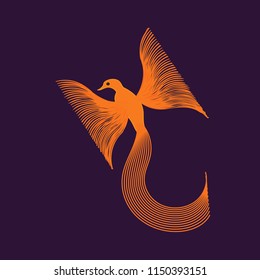 Orange bird with a large tail on a purple background