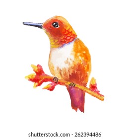 Orange bird with long beak on branch. Isolated