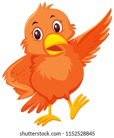A orange bird on white background illustration