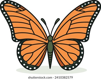 Mariposa naranja y monarca negra con puntos blancos sobre las alas. Cierre detallado del insecto sobre un fondo blanco. Ilustración vectorial de concepto de naturaleza y primavera.