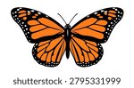 Orange and black monarch butterfly wings