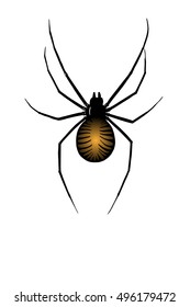 Orange black spider