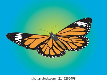 
Orange, Black And White Monarch Butterfly On Blue Sky