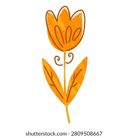 orange blooming tulip flower with clean minimalist symmetric leaves